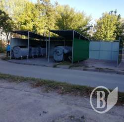 Європовітки з'явилися в Чернігові Європовітки з'явилися в Чернігові